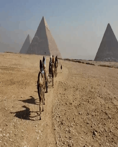 Egypt destination wedding